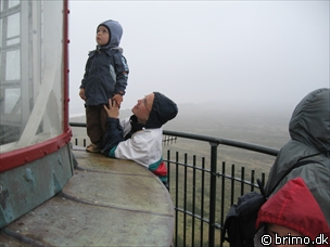 Miniature af billede nummer 919