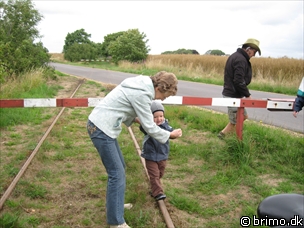 Miniature af billede nummer 922