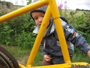 Miniature af billede nummer 923