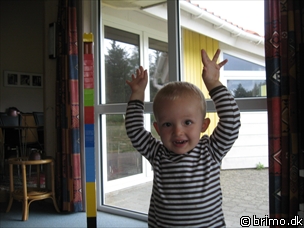 Miniature af billede nummer 924