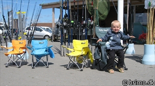 Miniature af billede nummer 928