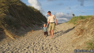 Miniature af billede nummer 929