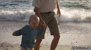 Miniature af billede nummer 931