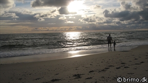 Miniature af billede nummer 932