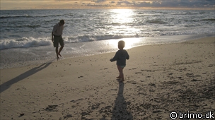 Miniature af billede nummer 933