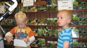 Miniature af billede nummer 935