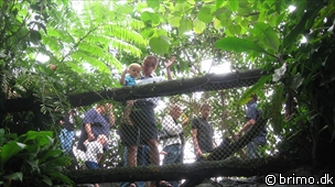 Miniature af billede nummer 936