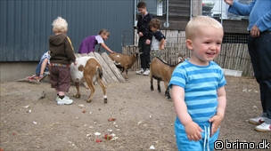 Miniature af billede nummer 938