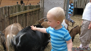 Miniature af billede nummer 941