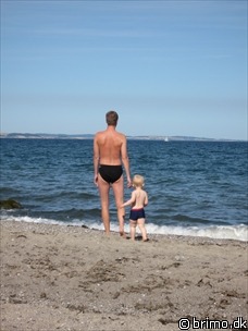 Miniature af billede nummer 942