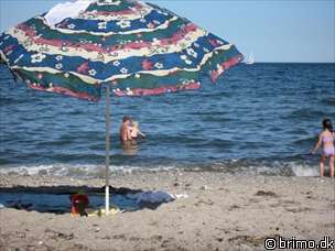 Miniature af billede nummer 943