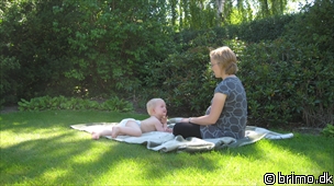 Miniature af billede nummer 944