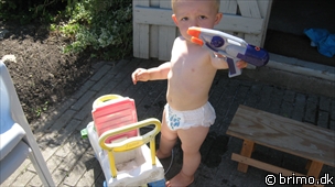 Miniature af billede nummer 945