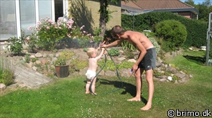 Miniature af billede nummer 946