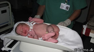 Miniature af billede nummer 951