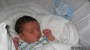 Miniature af billede nummer 953