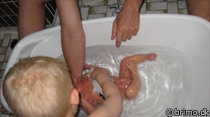 Miniature af billede nummer 954