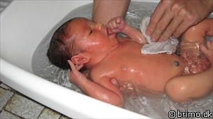 Miniature af billede nummer 955