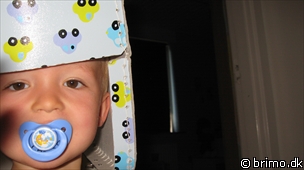 Miniature af billede nummer 956