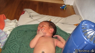 Miniature af billede nummer 957