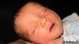 Miniature af billede nummer 961