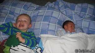 Miniature af billede nummer 962