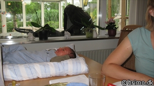 Miniature af billede nummer 965