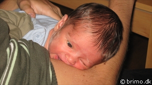 Miniature af billede nummer 966