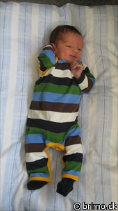 Miniature af billede nummer 967