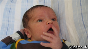 Miniature af billede nummer 968