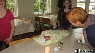 Miniature af billede nummer 975