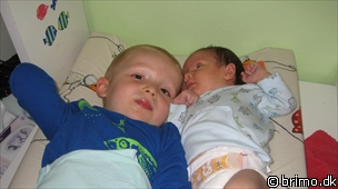 Miniature af billede nummer 976