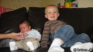 Miniature af billede nummer 978