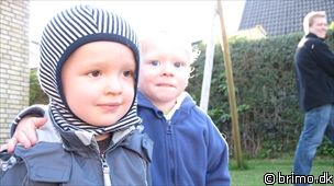 Miniature af billede nummer 983