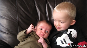 Miniature af billede nummer 987