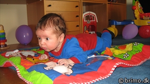 Miniature af billede nummer 989