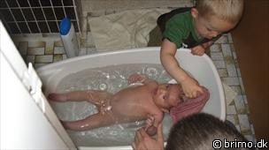 Miniature af billede nummer 994