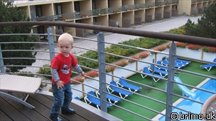 Miniature af billede nummer 996