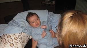 Miniature af billede nummer 1001