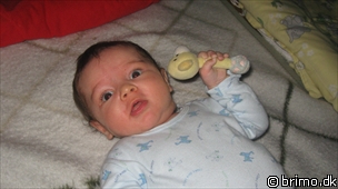 Miniature af billede nummer 1003