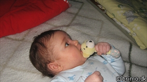 Miniature af billede nummer 1004