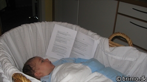 Miniature af billede nummer 1005