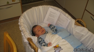 Miniature af billede nummer 1007