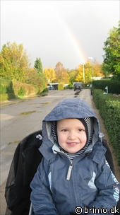 Miniature af billede nummer 1012