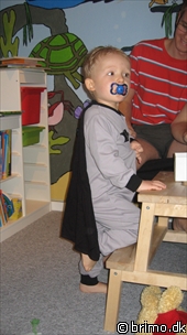 Miniature af billede nummer 1013