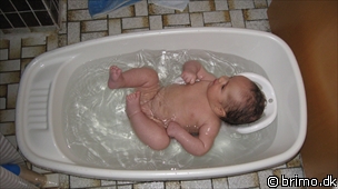 Miniature af billede nummer 1017