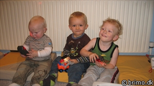 Miniature af billede nummer 1021