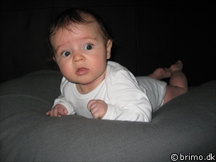 Miniature af billede nummer 1032