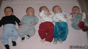 Miniature af billede nummer 1034