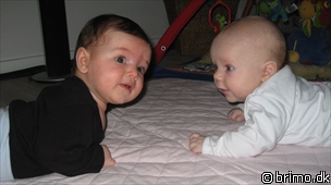 Miniature af billede nummer 1035